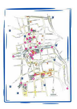 PIANTINA SAMOGGIA (1)