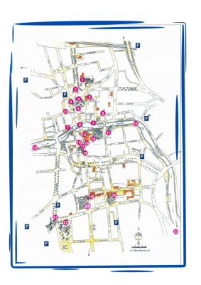PIANTINA SAMOGGIA (1)